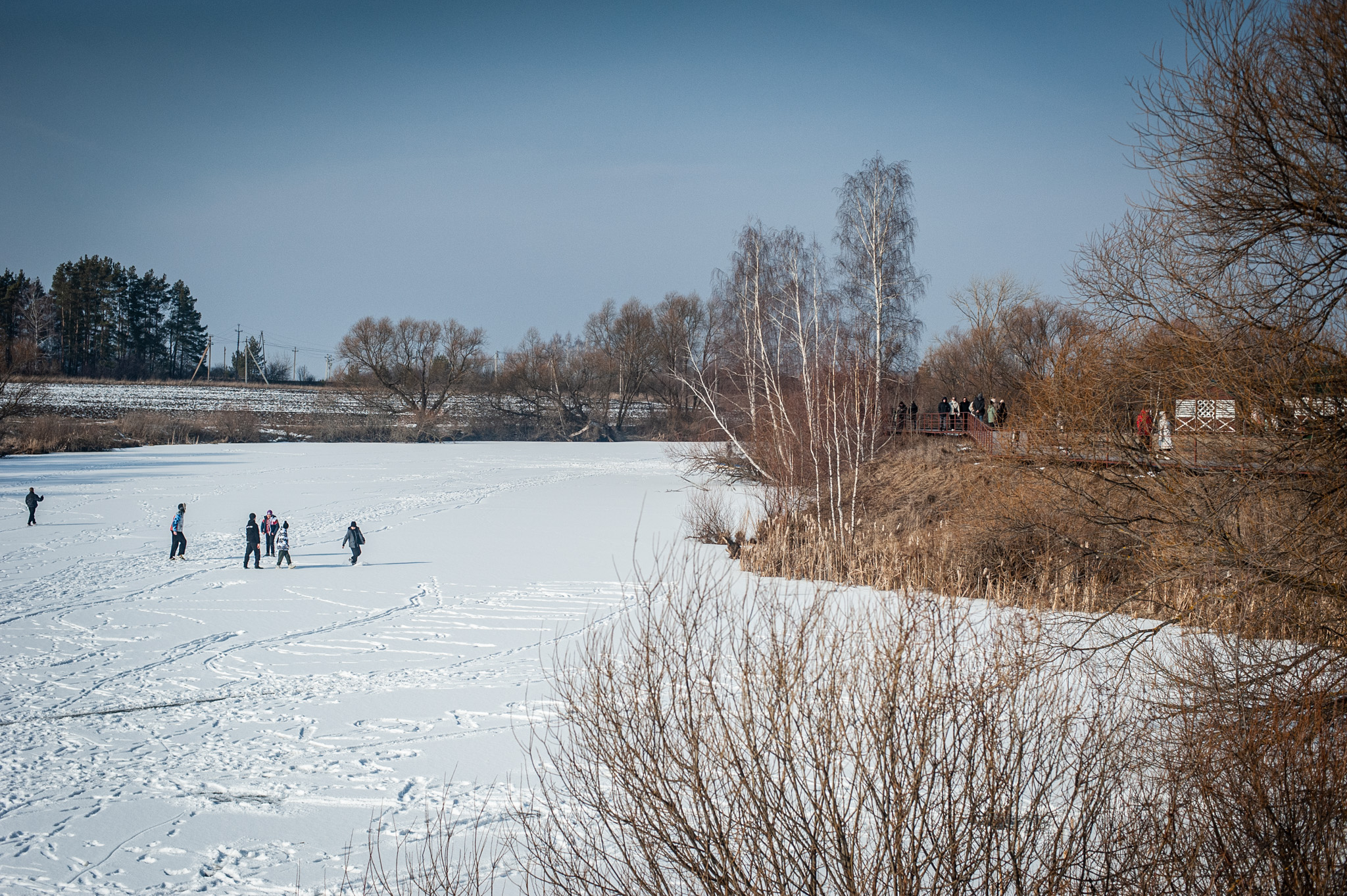 былинкино отзывы