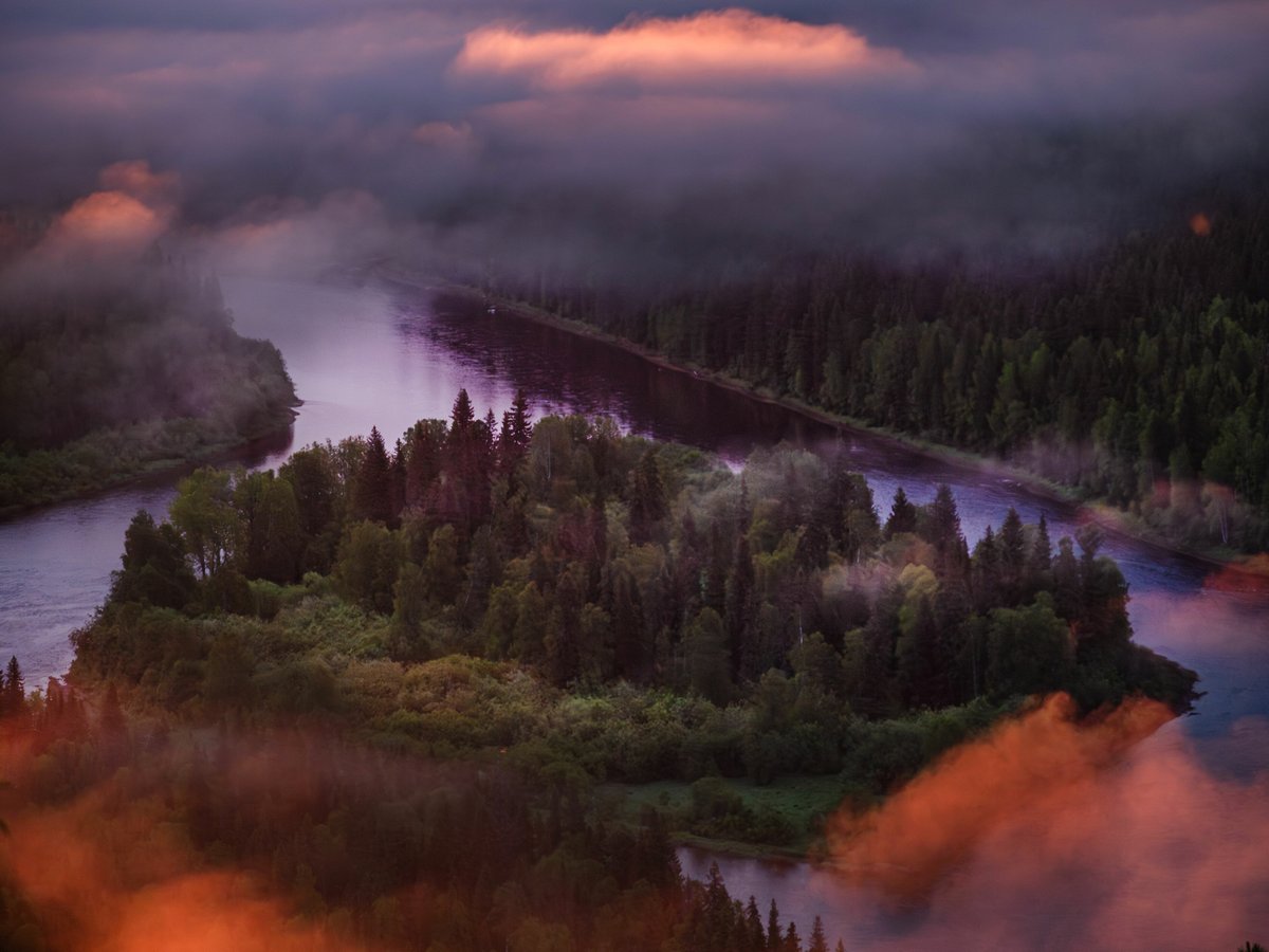 фильм лес хранитель жизни