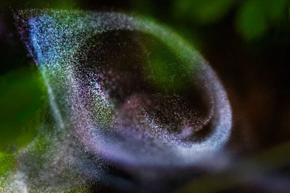 фильм о деревьях и лесах