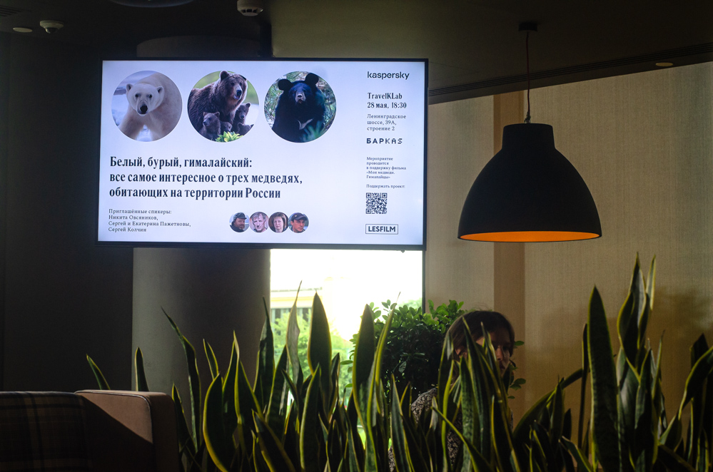 Мои медведи. Гималайцы