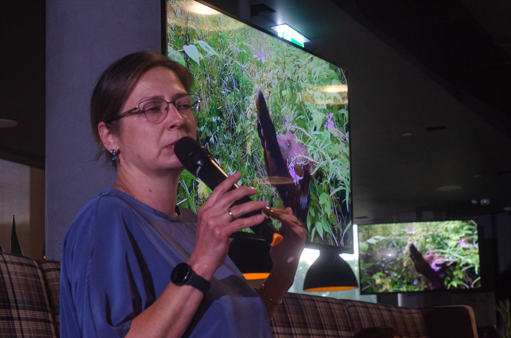 центр спасения медвежат