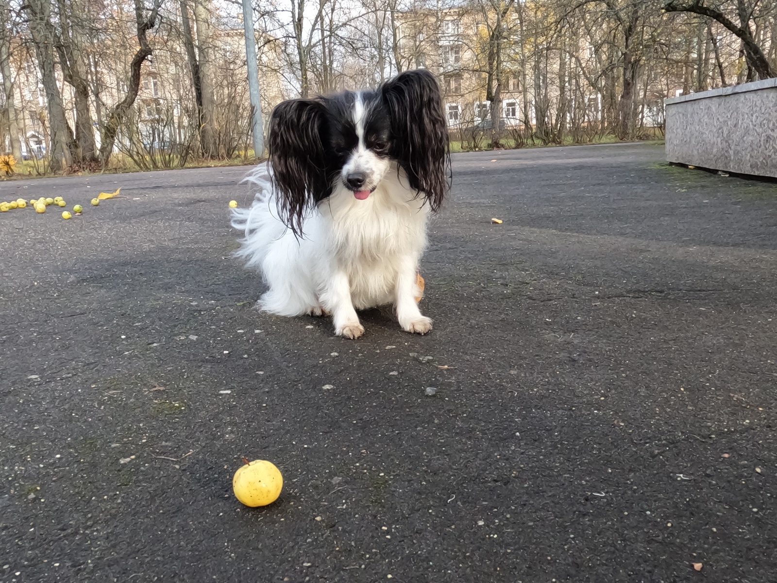 парк авиастроителей дубна