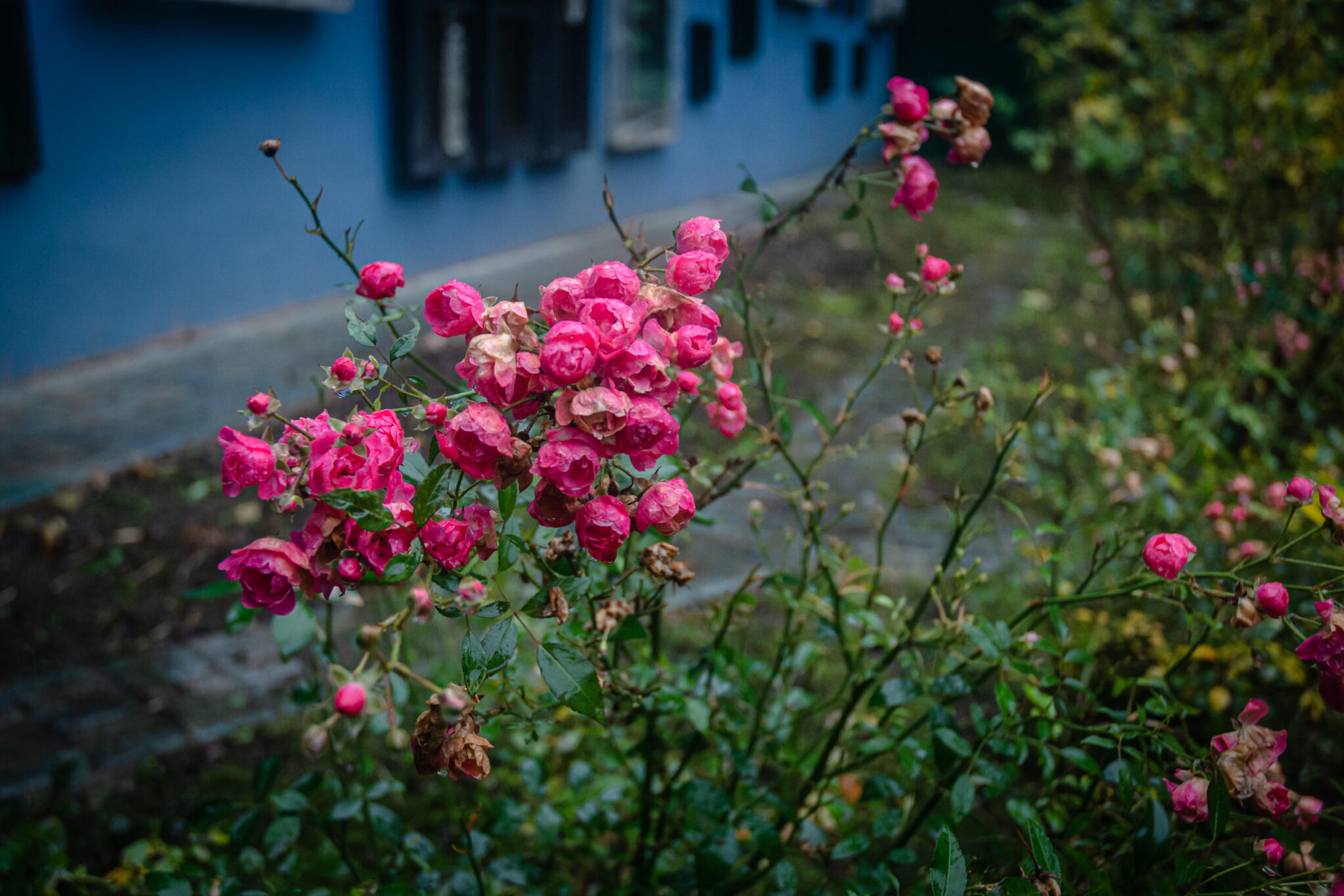 художественная династия