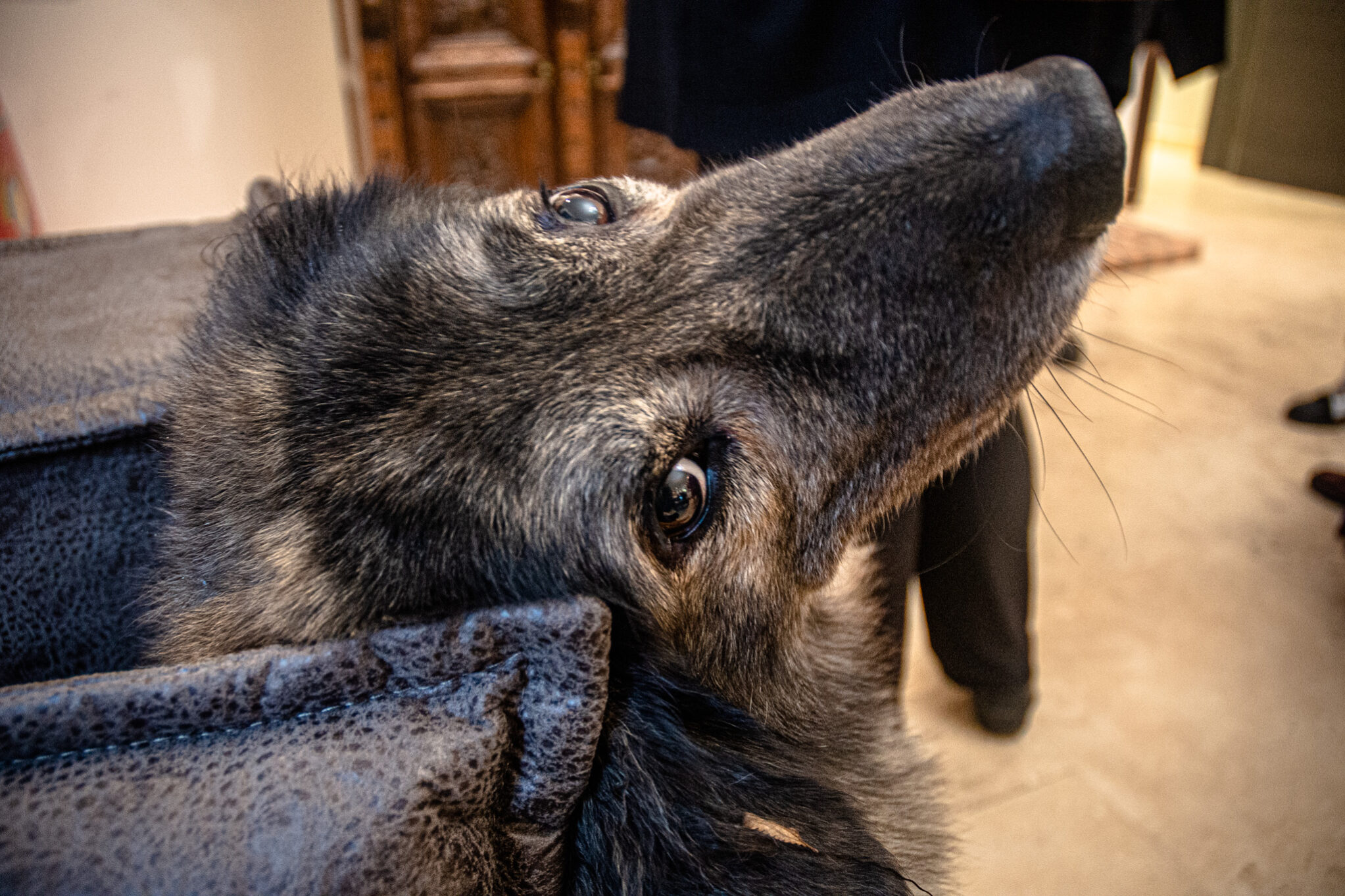 дом коржевых