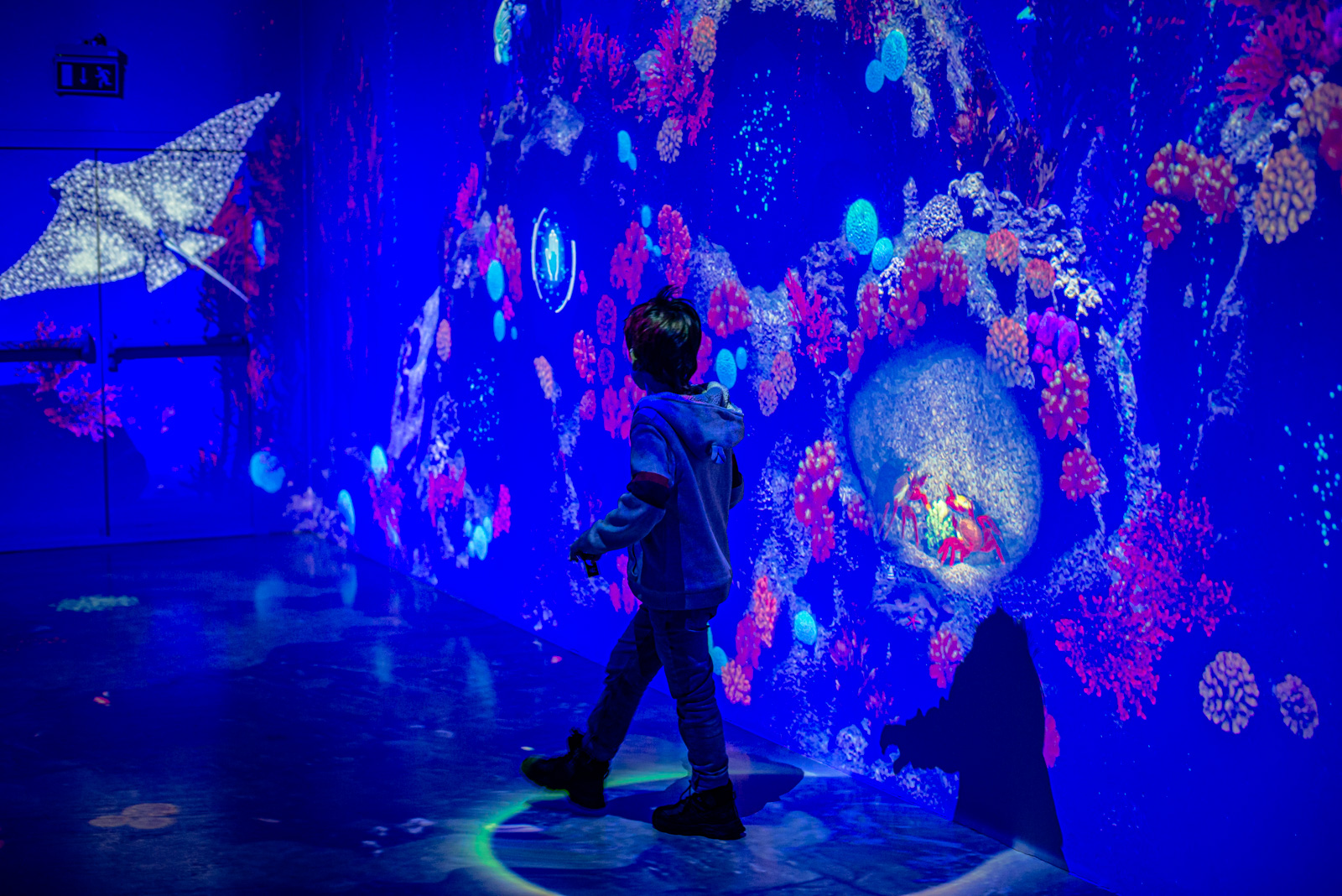 пространство luminarx вднх