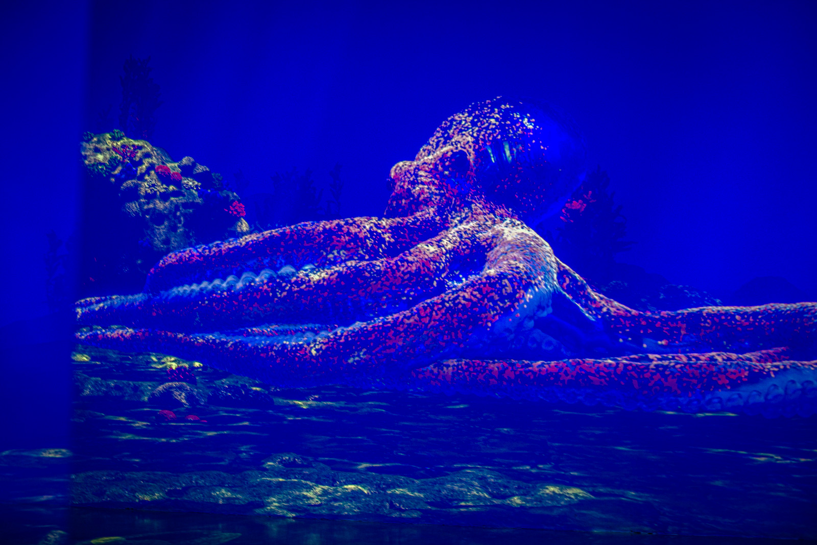 выставка luminar на вднх