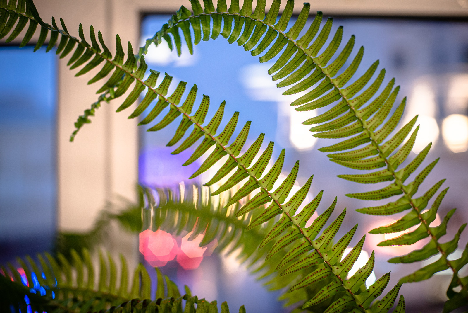 торгово промышленная палата адрес