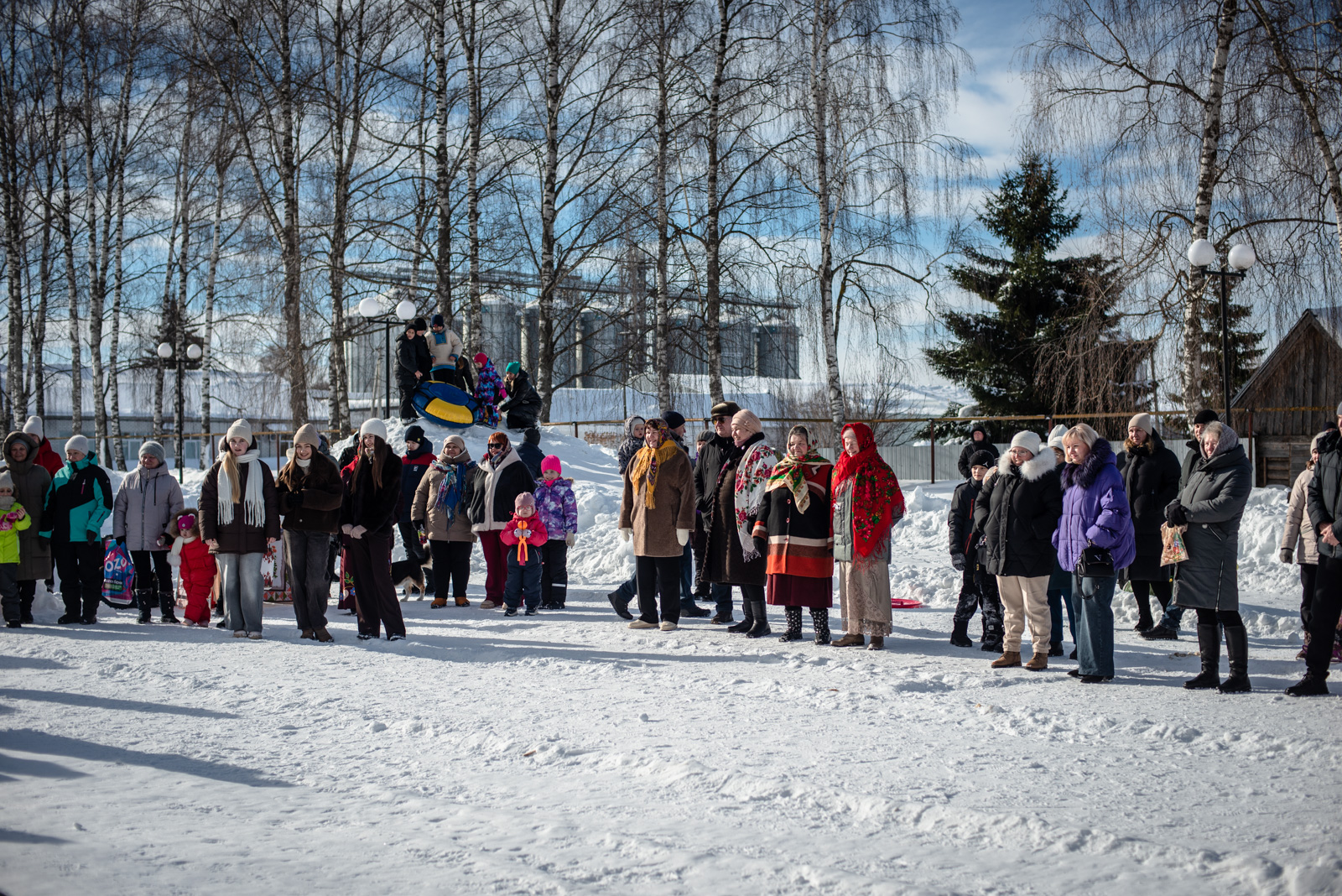 дмитриевы горы владимирская область меленковский