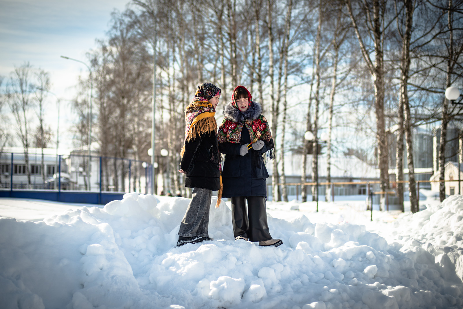 село дмитриевы горы