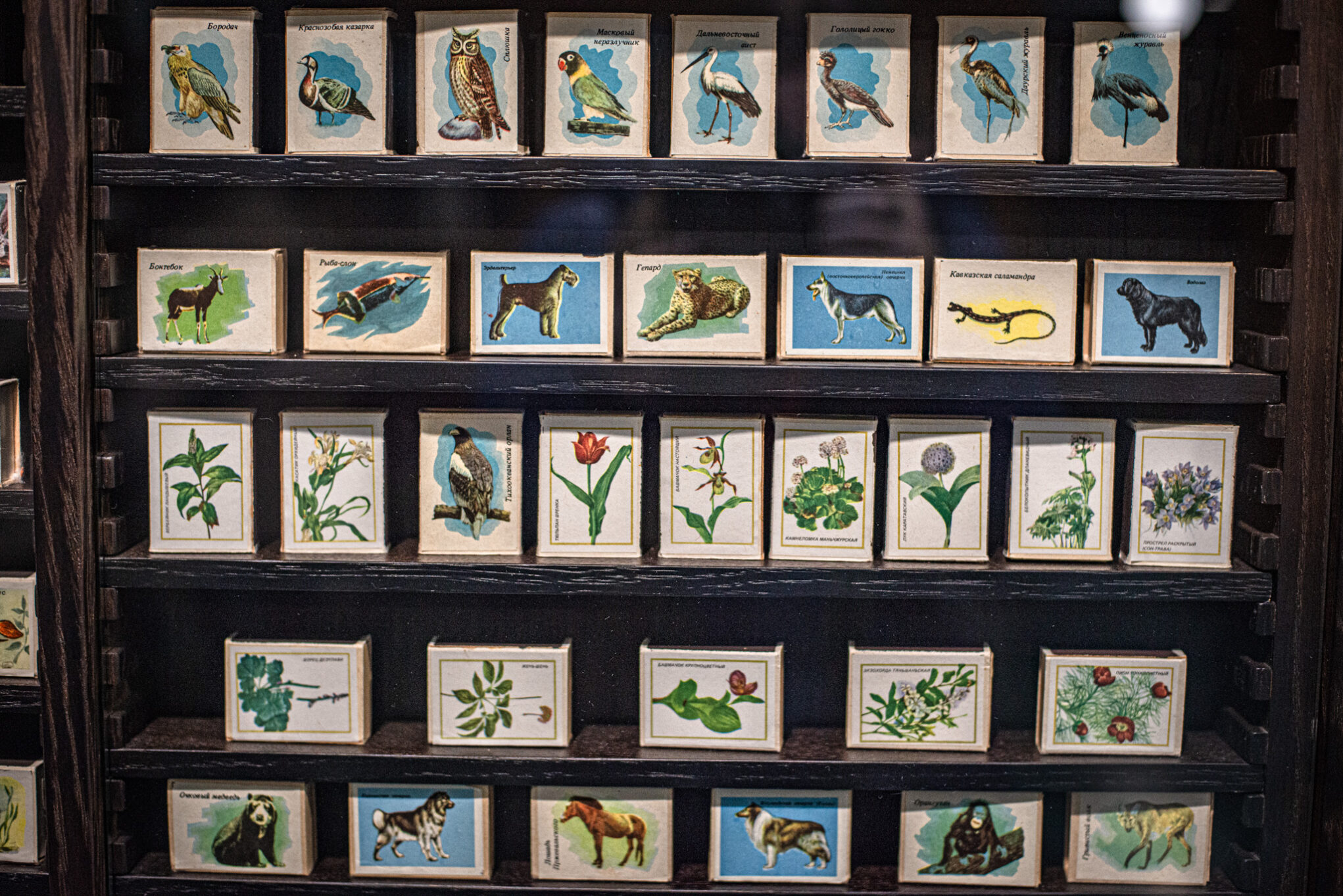 музей спичек