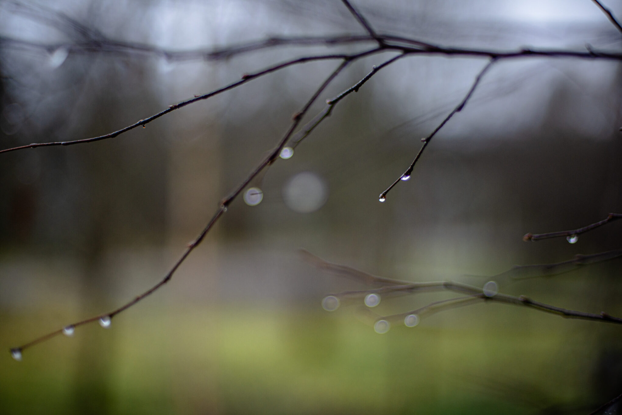 этномир зимой