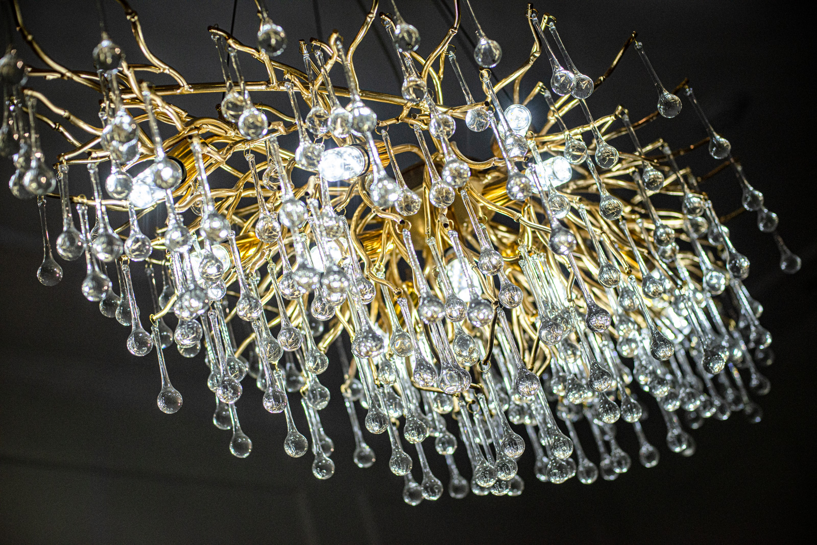 канишевская наталья владимировна