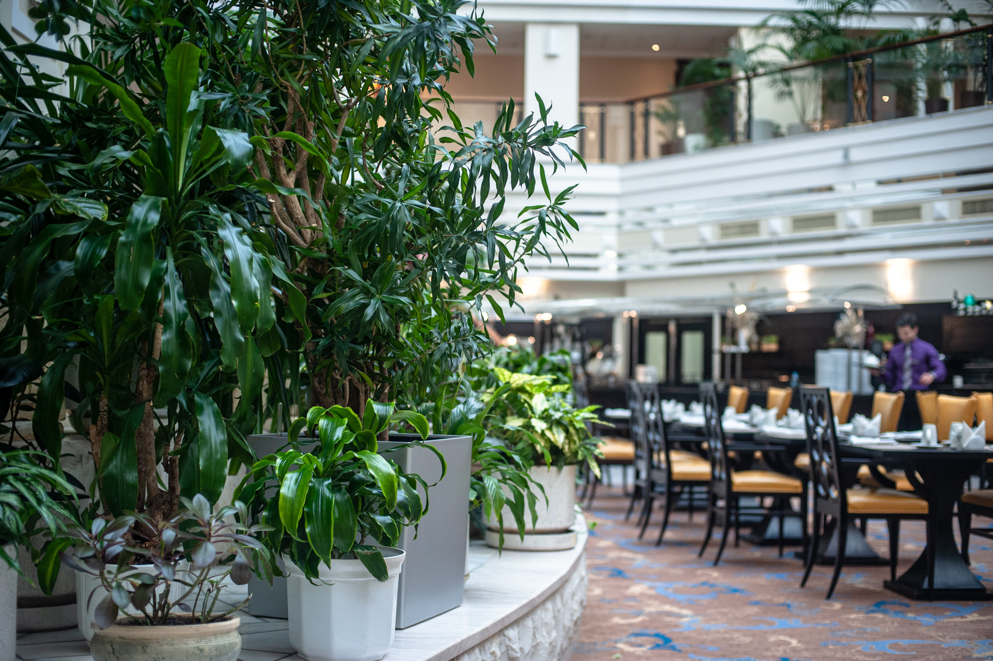 сафмар аврора люкс ул петровка