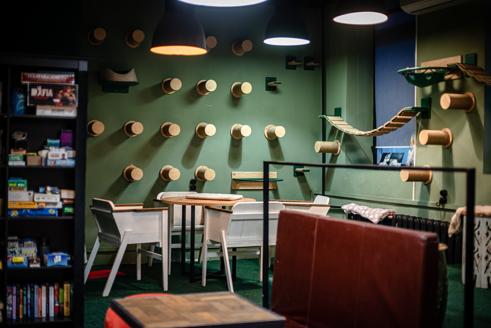 котики и люди москва