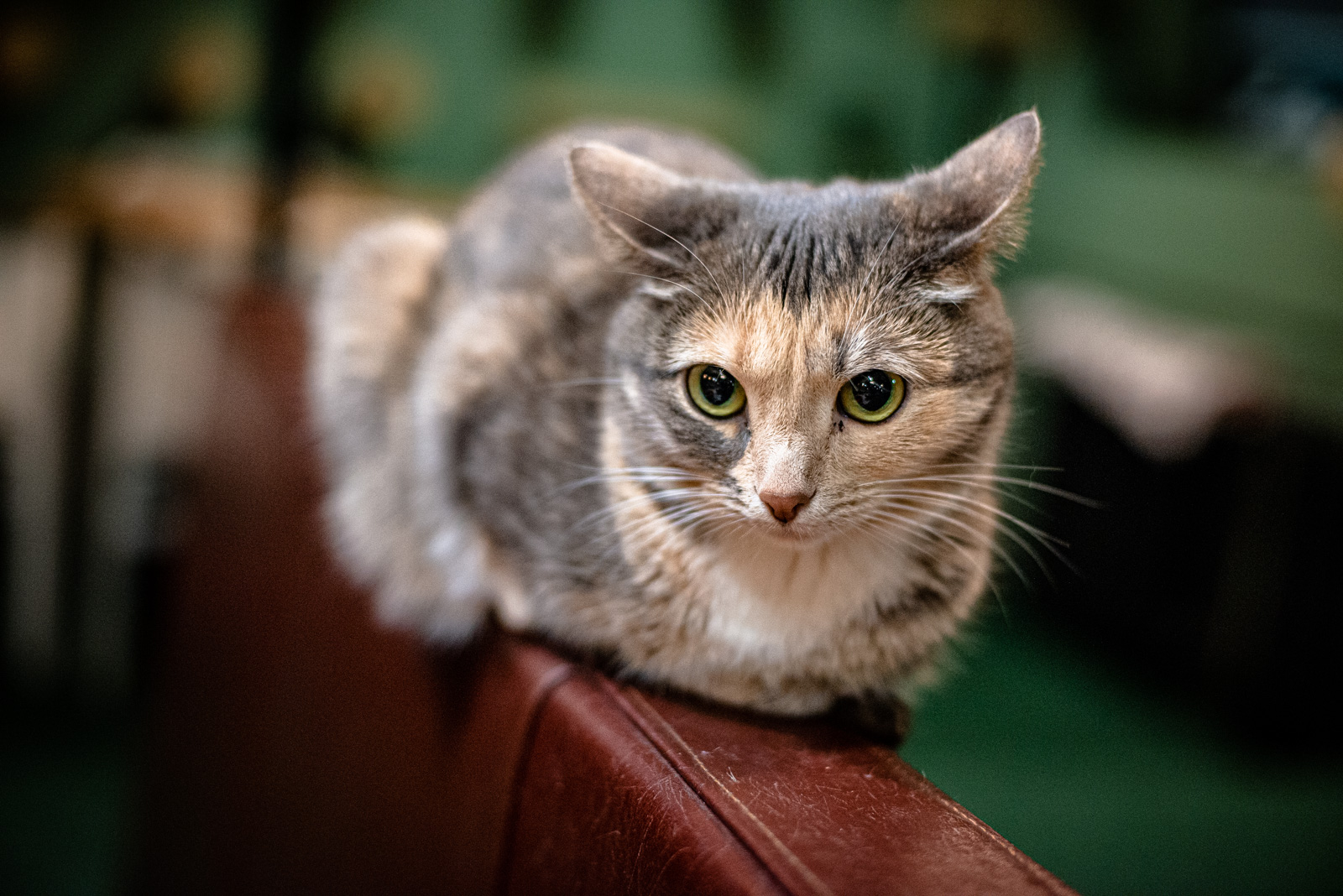 фонд хорошее дело