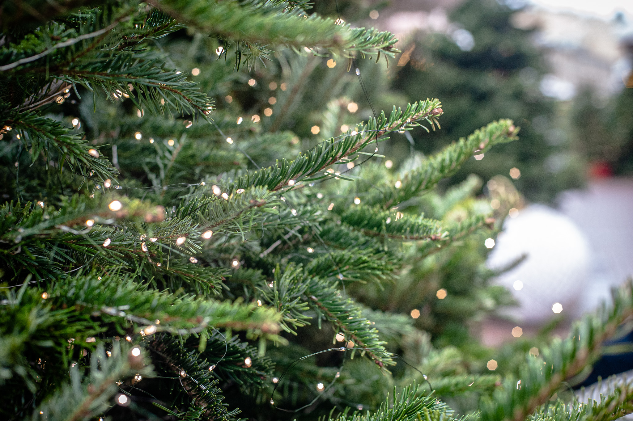 история района арбат