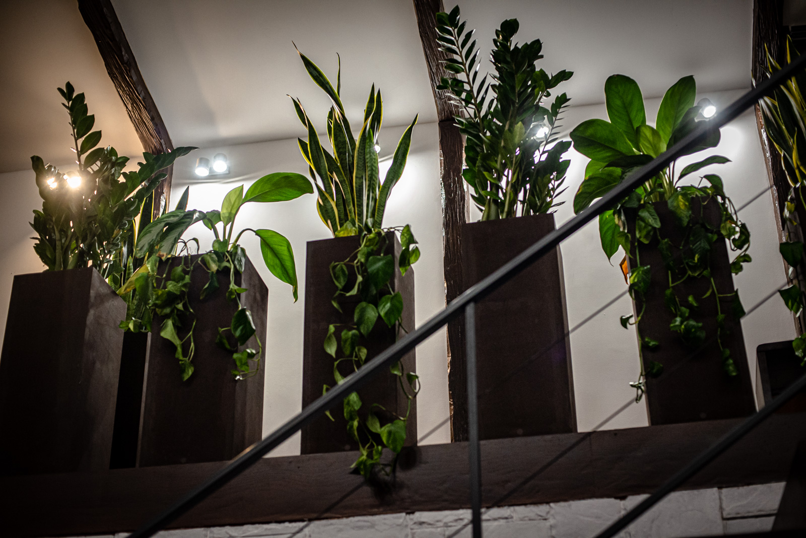 открытые сцены ордынки