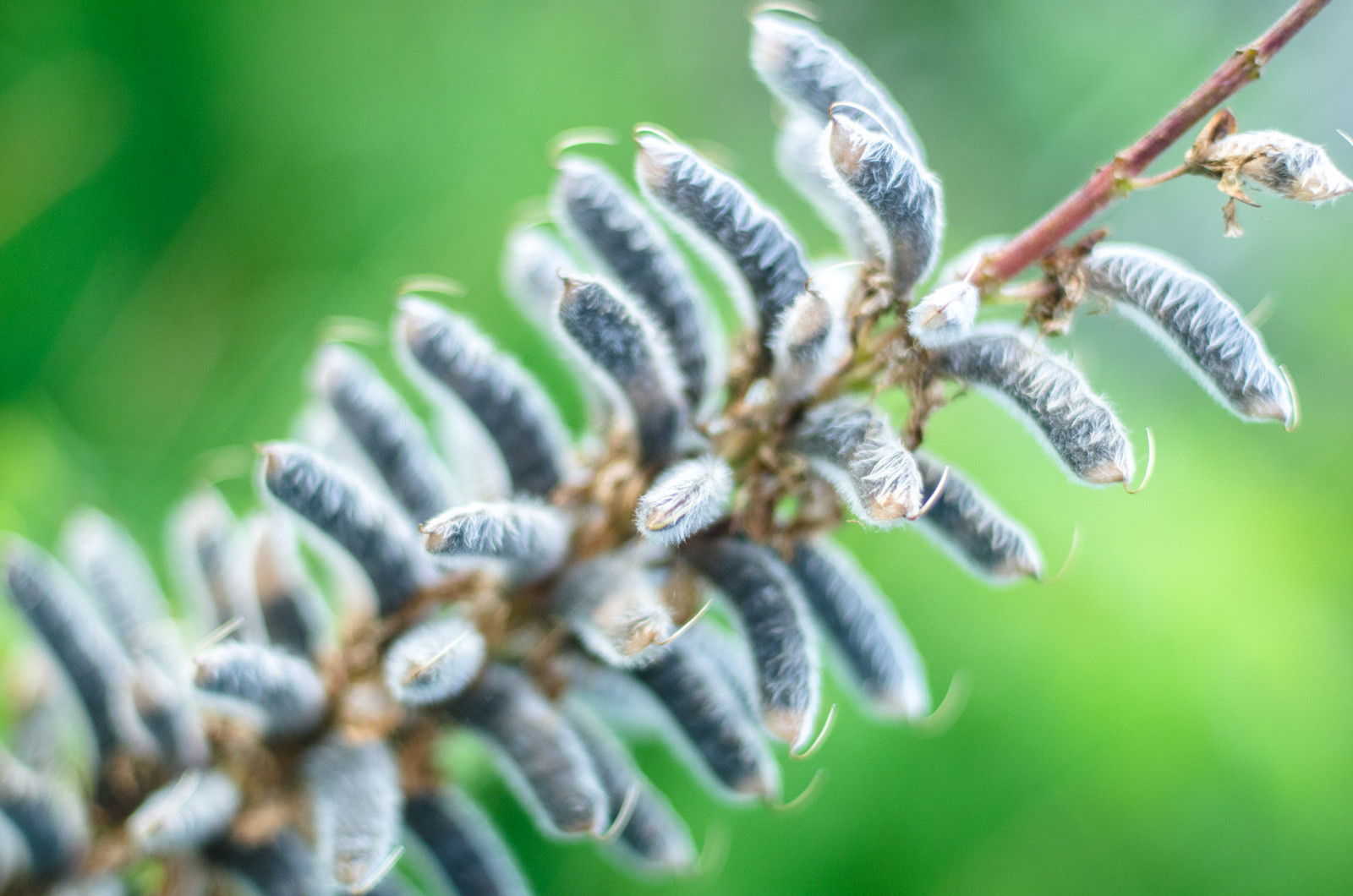 цитаты известных женщин о женщинах