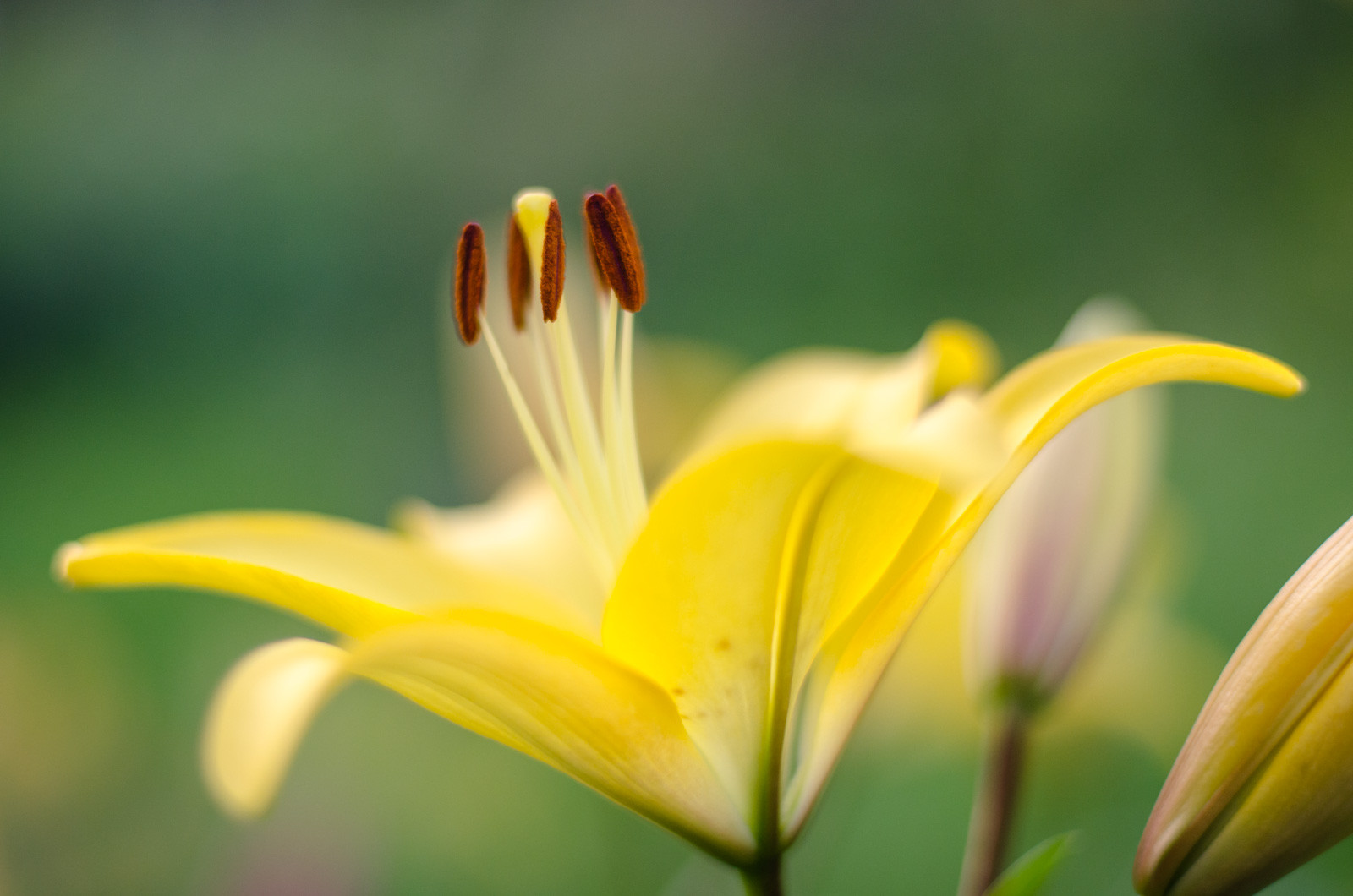 цитаты мужчин о женщинах