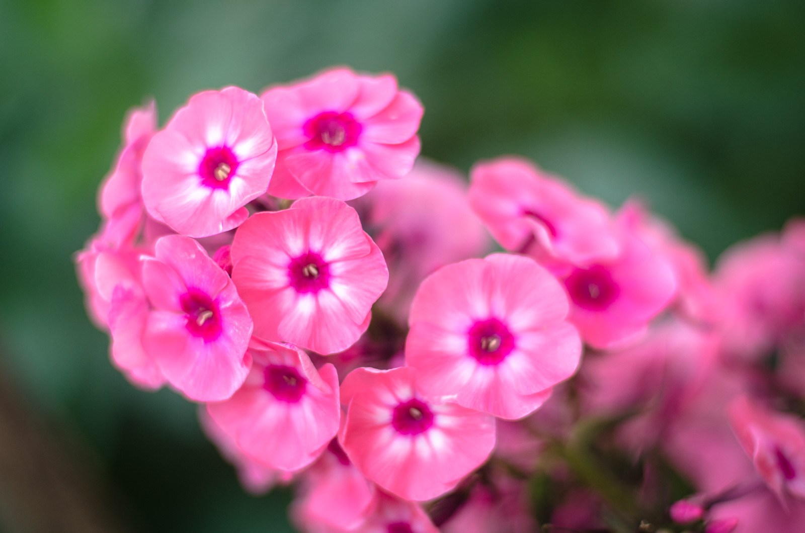 короткие цитаты о женщинах