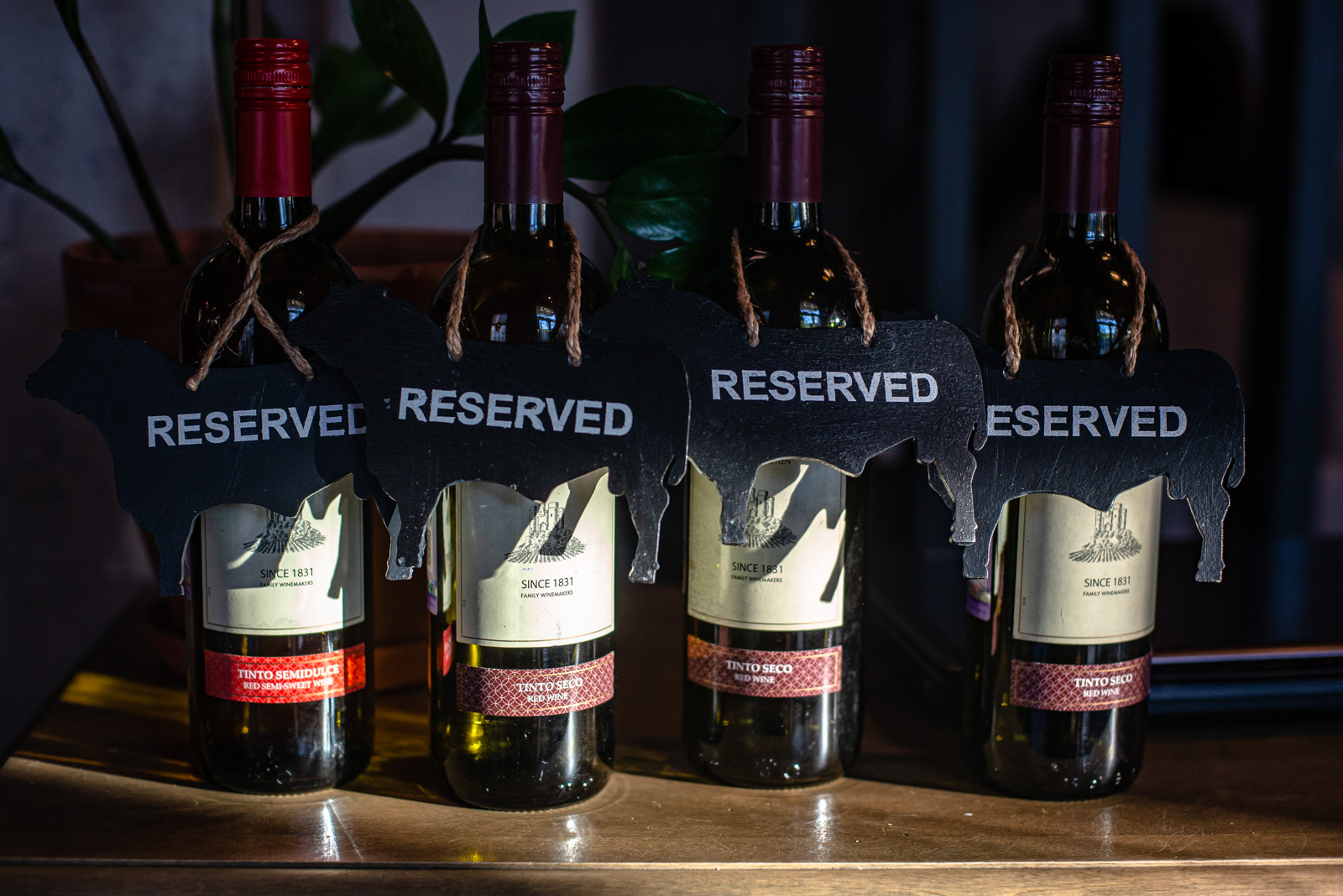 кафе сервантес петрозаводск