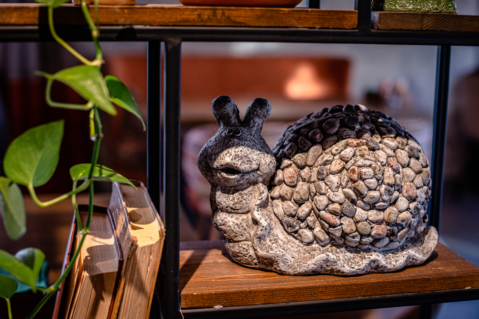 сервантес петрозаводск отзывы