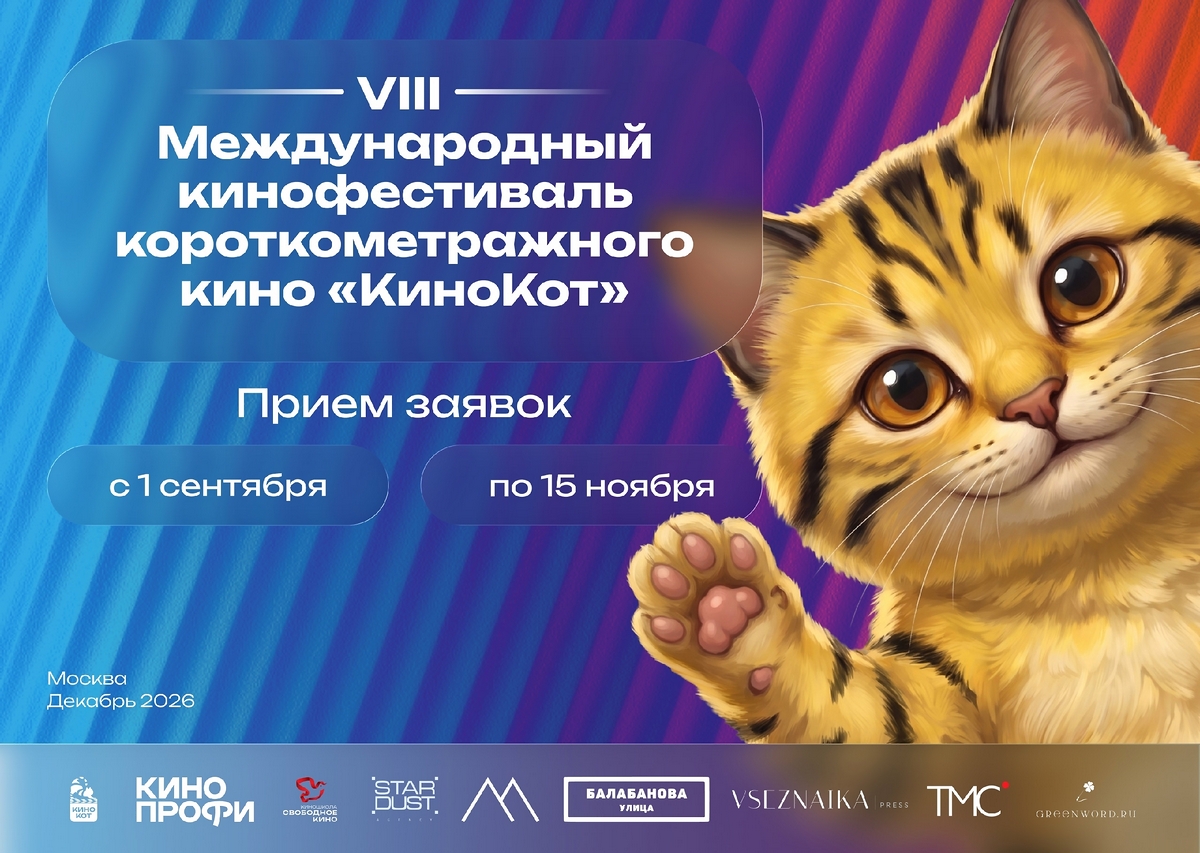 фестиваль кинокот
